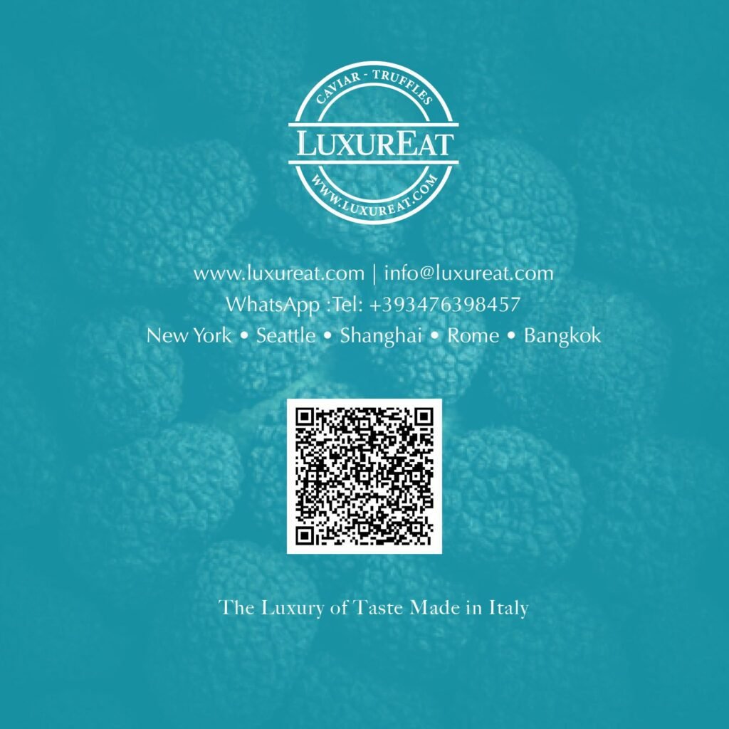 WhatsApp Image 2026 02 03 at 14.21.57