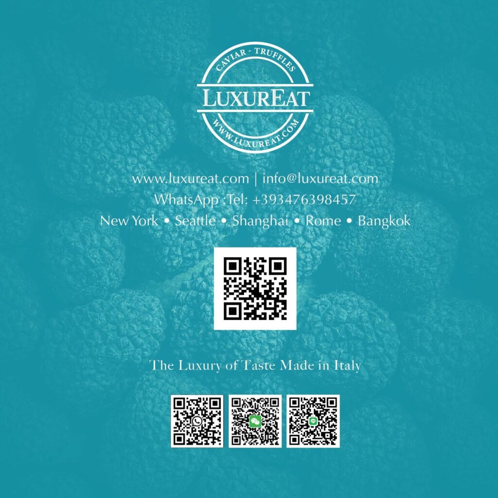 WhatsApp Image 2026 03 19 at 17.30.53