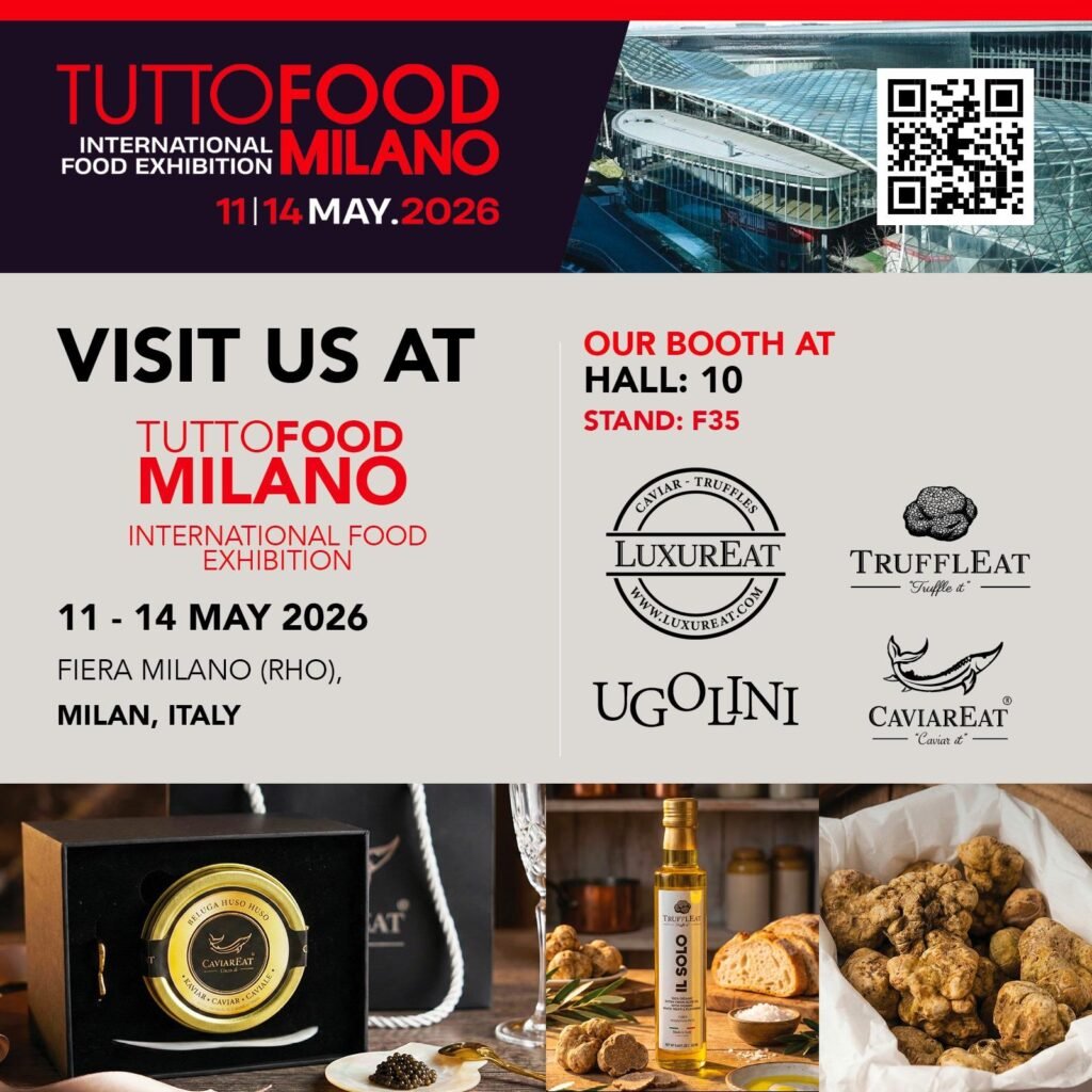 WhatsApp Image 2026 04 09 at 21.44.07