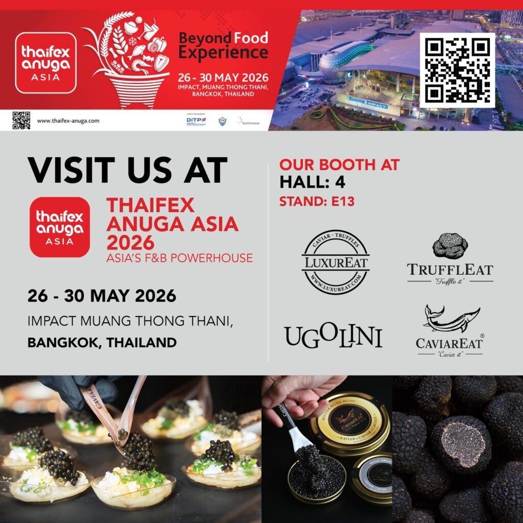 WhatsApp Image 2026 04 19 at 09.12.53